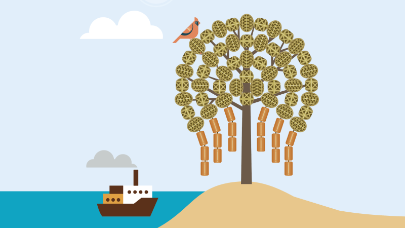 Floating Power Sinking Risks Rethinking Mauritiuss Energy Future